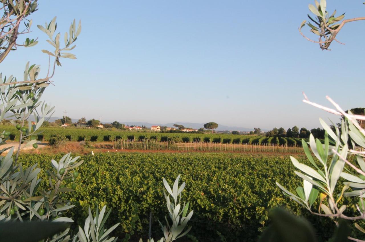 Hotel Agrihotel Elisabetta 3*