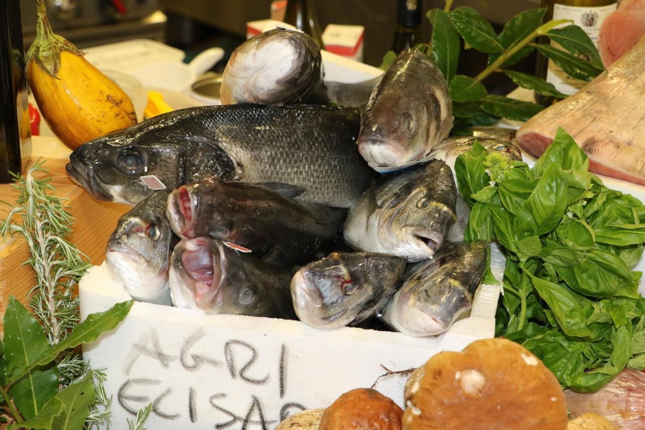 Agrihotel Elisabetta Hotel Collemezzano